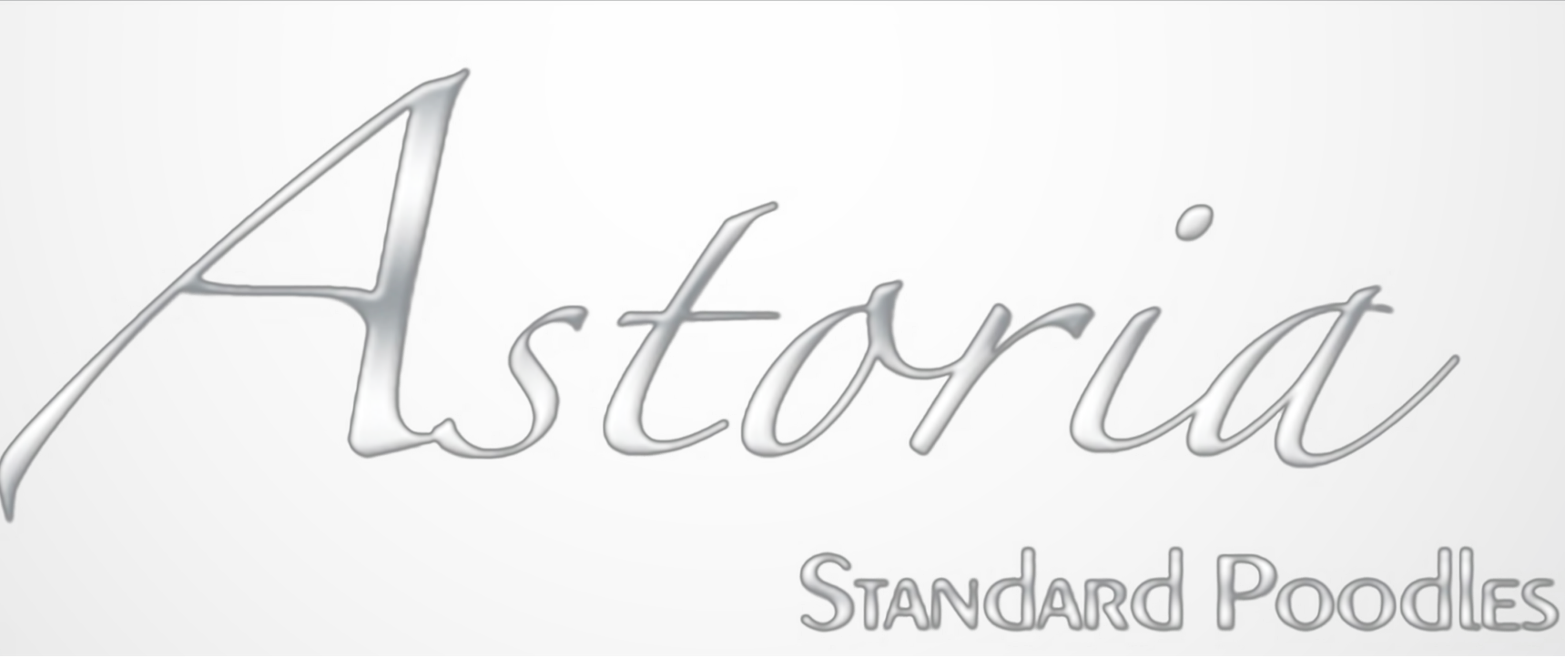 Astoria Standard Poodles