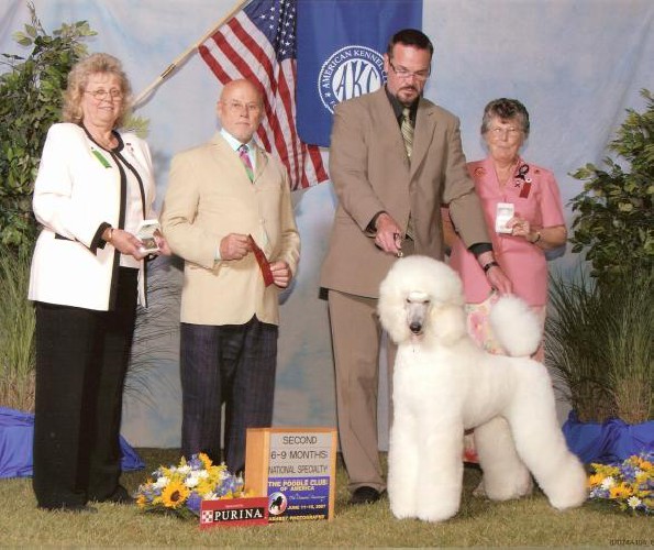 Max placed 2nd in the 6-9 puppy class in a good company under Ed Biven at the 2007 PCA National Specialty!