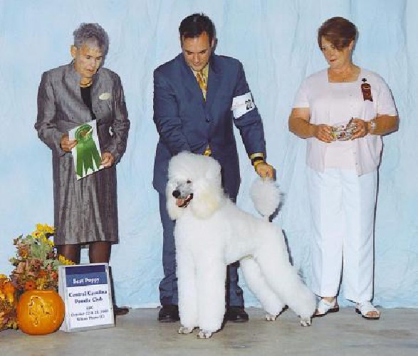 “Zane” finished his Championship exclusively handled by Chris Manelopoulos and Rachel Corbin.