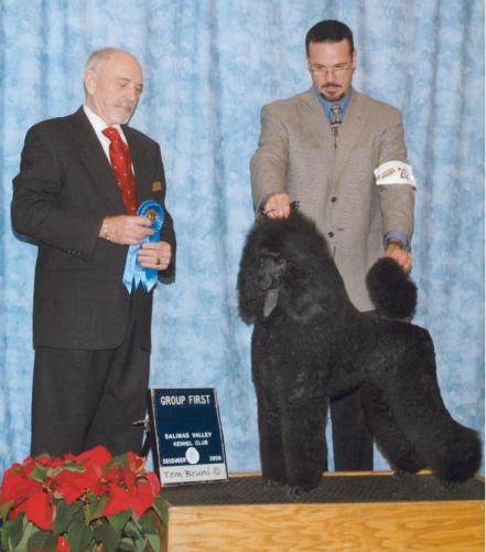 Jaya finished her Championship with 4 back to back Majors, with BOB's over Specials 
<br>and a Group One. Thank you to judges  Dr. Jacklyn Hungerland, Mr. Richard Camacho, 
<br>Dr. Roger S. Pritchard, Mr. Geoff Corish and Mr. Michael Coad.